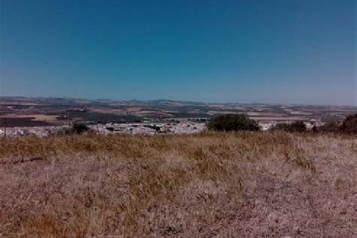 Piper, 25 — Escort in Gallegos del Rio, Spain