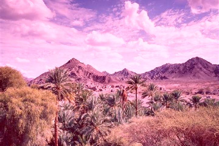 Piper, 25 — Escort in Izki, Oman