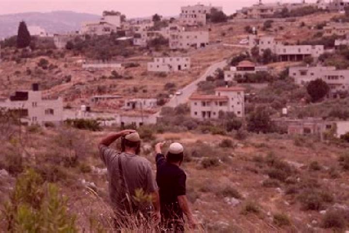 Piper, 25 — Escort in Kokhav Ya ir, Israel