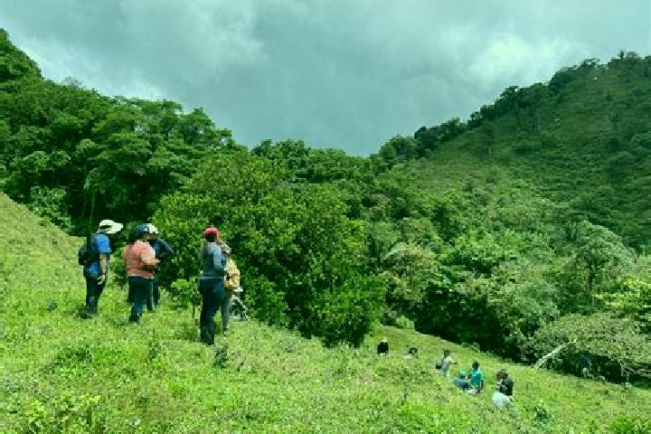 Piper, 25 — Escort in Mata Ahogado, Panama