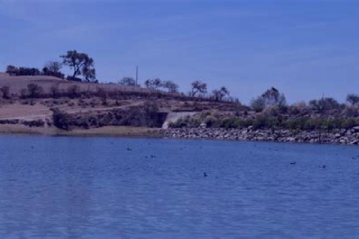 Piper, 25 — Escort in Ojo de Agua del Refugio, Mexico