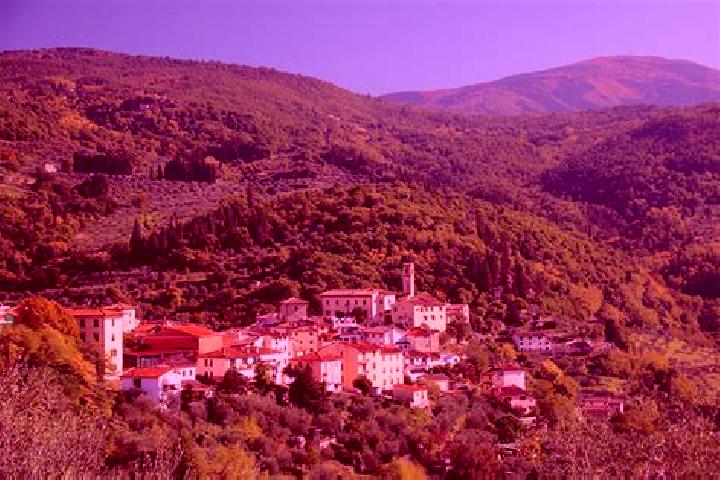 Piper, 25 — Escort in Pelago, Italy