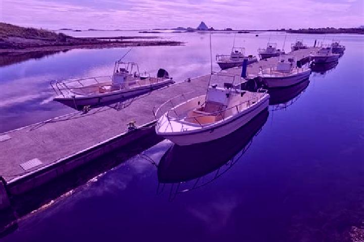 Piper, 25 — Escort in Rost, Norway