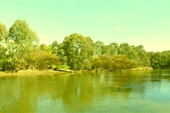 Piper, 25 — Escort in South Albury, Australia