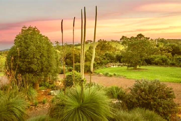 Piper, 25 — Escort in Windsor Gardens, Australia