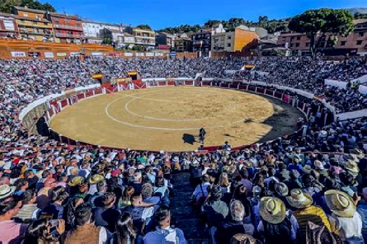 Piper, 26 — Escort in Arenas de San Pedro, Spain