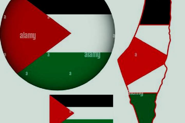 Piper, 26 — Escort in Jayyus, Palestine