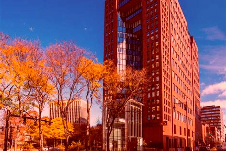Piper, 26 — Escort in Kendall Square, United States