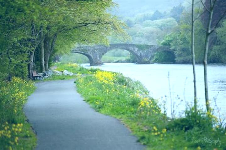 Piper, 26 — Escort in Kilsheelan, Ireland