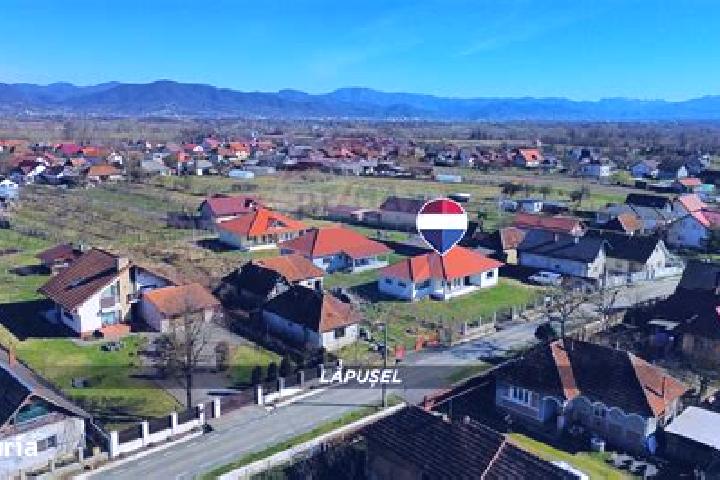 Piper, 26 — Escort in Lapusel, Romania