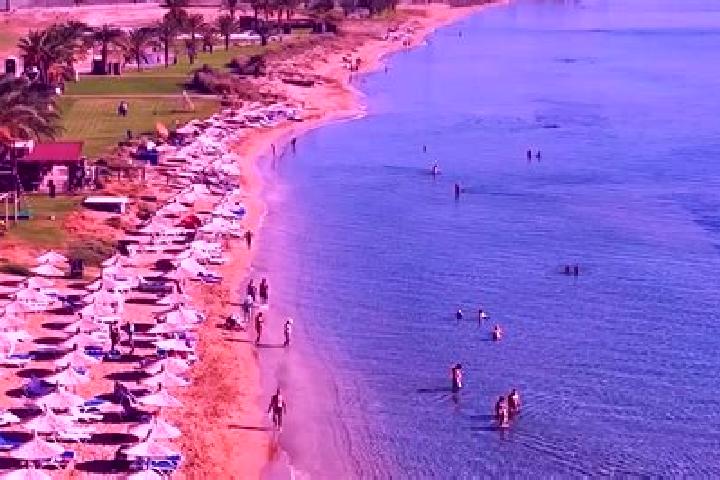 Piper, 26 — Escort in Lefka, Cyprus