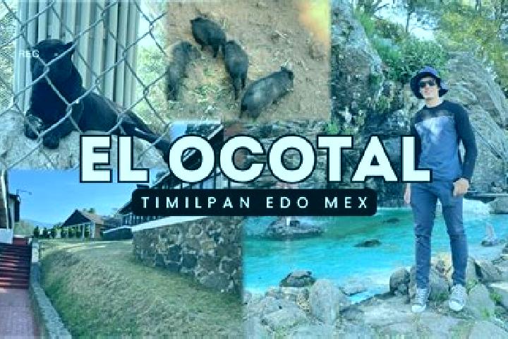 Piper, 26 — Escort in San Francisco Ocotal, Mexico