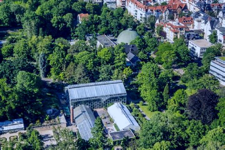 Piper, 26 — Escort in Viewegs Garten, Germany