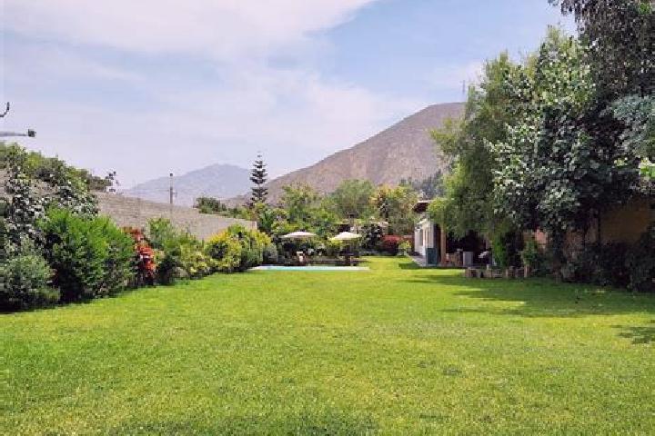 Piper, 27 — Escort in Campo Verde, Peru