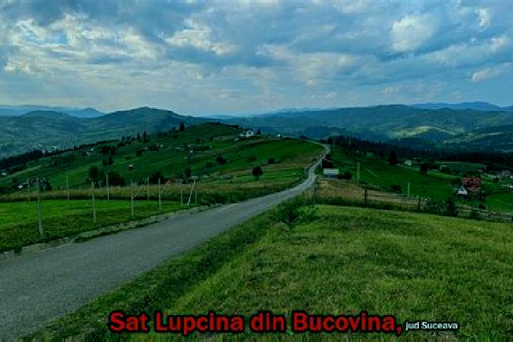 Piper, 27 — Escort in Lupcina, Romania