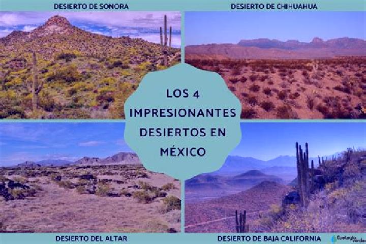 Piper, 27 — Escort in Mesa de los Leones, Mexico