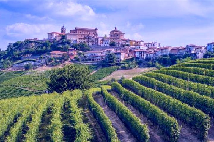 Piper, 27 — Escort in Sale delle Langhe, Italy