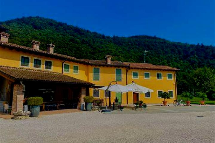 Piper, 27 — Escort in Vicolungo, Italy