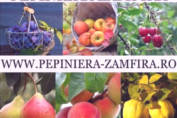 Piper, 27 — Escort in Zamfira, Romania