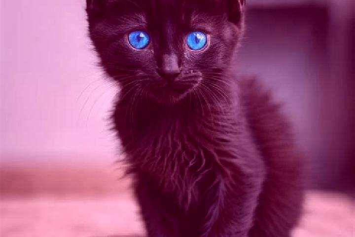Piper, 28, a black blue-eyed caribbean companion based in Courzieu. Offering Girlfriend Experience, Couples, Overnight, Massage, OWO. Available for incall an...