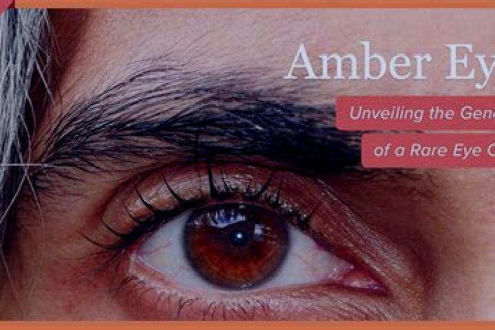 Piper, 28, a red amber-eyed mixed companion based in Avigliano Umbro. Offering Fetish, Duos, Dinner Date, Striptease. Available for incall and outcall, day a...