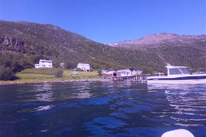 Piper, 28 — Escort in Burfjord, Norway