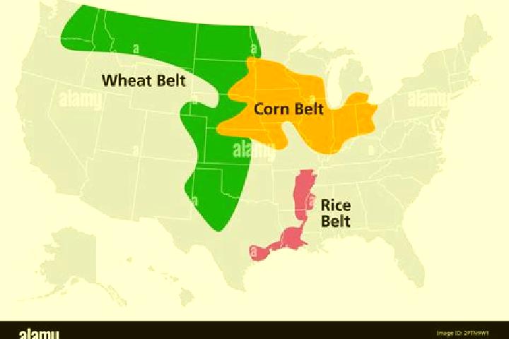 Piper, 28 — Escort in Corn, United States