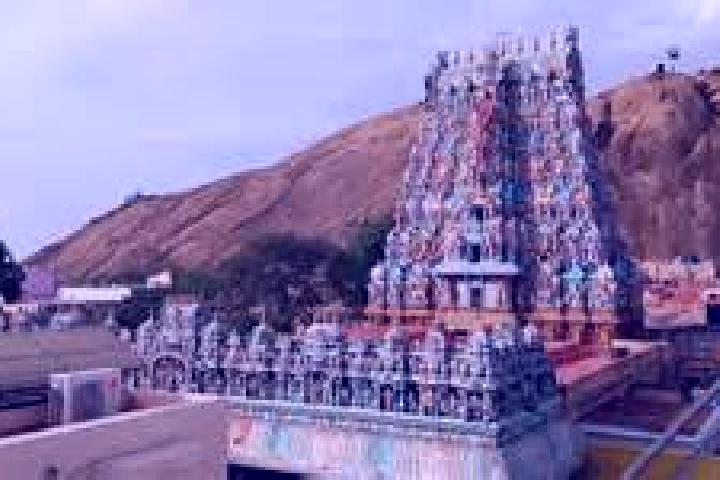Piper, 28 — Escort in Tirupparangunram, India