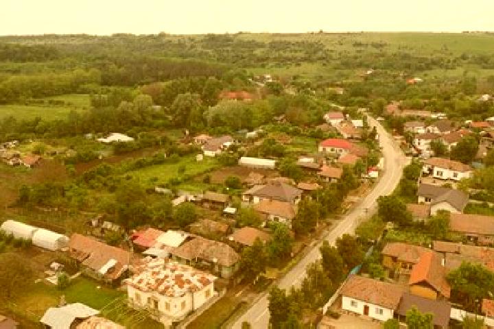 Piper, 28 — Escort in Varvoru de Jos, Romania