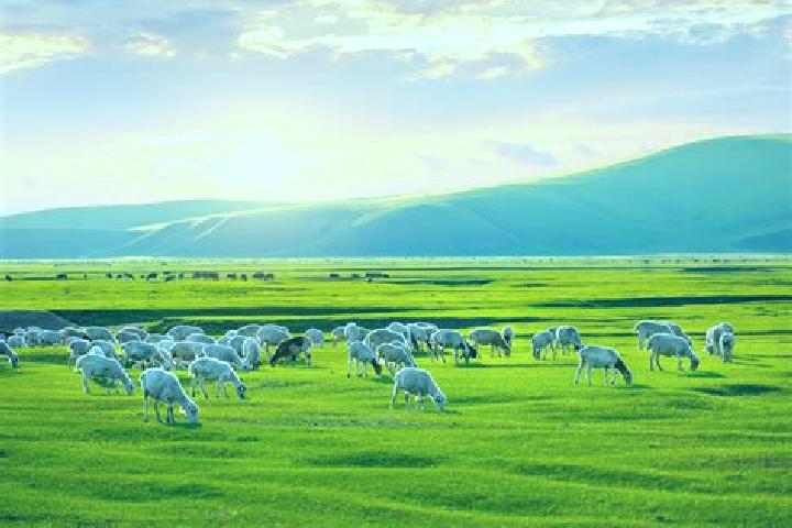 Piper, 29 — Escort in Buerenhayrhan, Mongolia