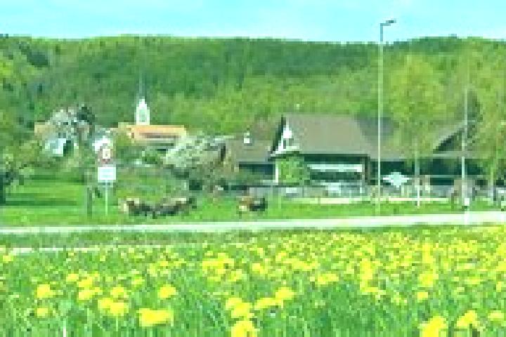 Piper, 29 — Escort in Hausen am Albis / Hausen (Dorf), Switzerland