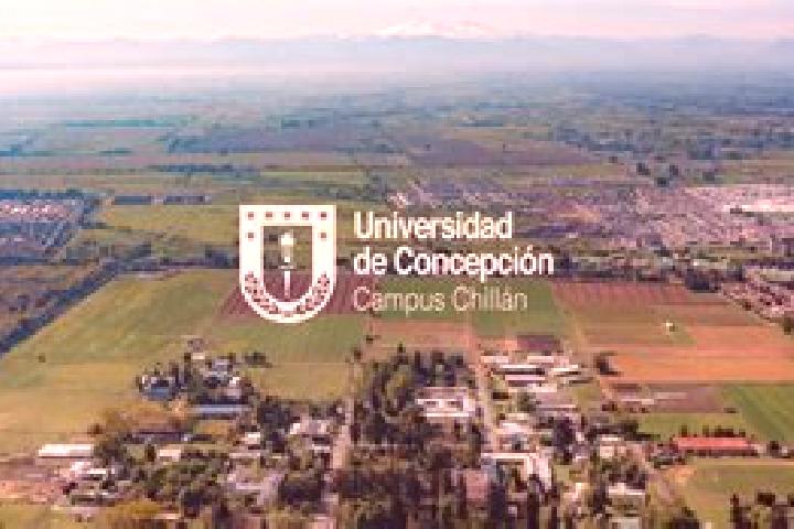 Piper, 29 — Escort in La Concepcion de Hidalgo, Mexico