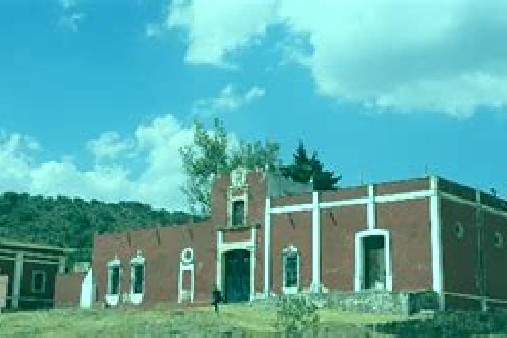 Piper, 29 — Escort in Montecillos, Mexico