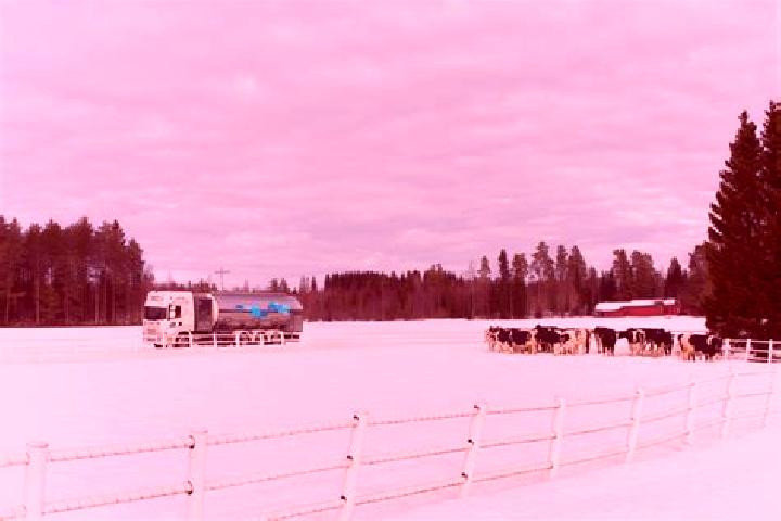 Piper, 29 — Escort in Pedersoere, Finland