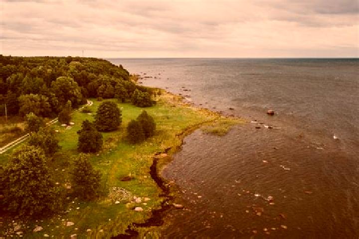 Piper, 29 — Escort in Puka, Estonia