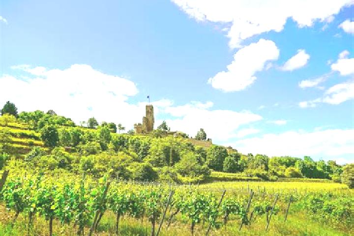Piper, 29 — Escort in Rhodt unter Rietburg, Germany
