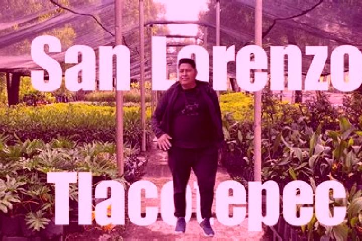 Piper, 29 — Escort in San Lorenzo Tlacotepec, Mexico