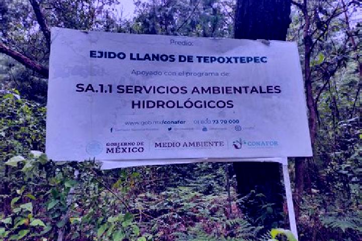 Piper, 29 — Escort in Tepoxtepec, Mexico