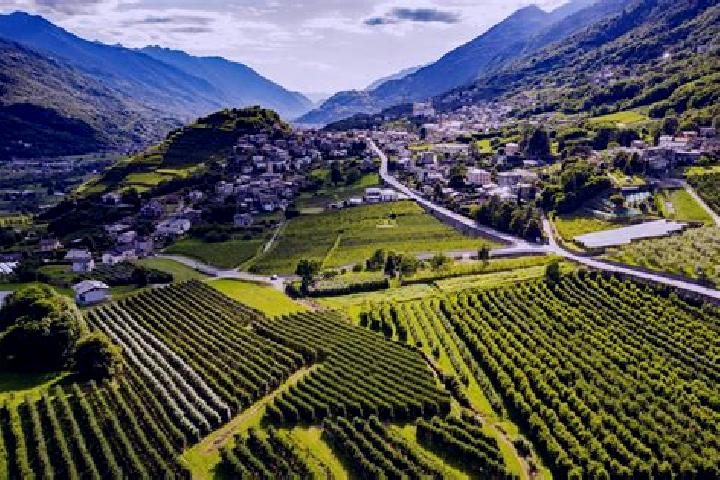 Piper, 29 — Escort in Tresivio, Italy