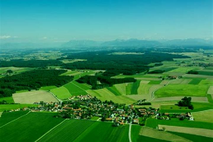 Piper, 29 — Escort in Tyrlaching, Germany