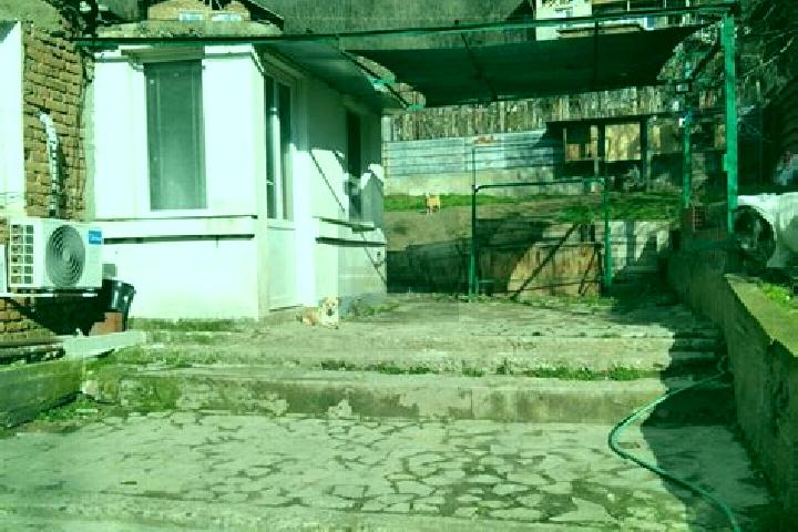 Piper, 30 — Escort in Boboshevo, Bulgaria