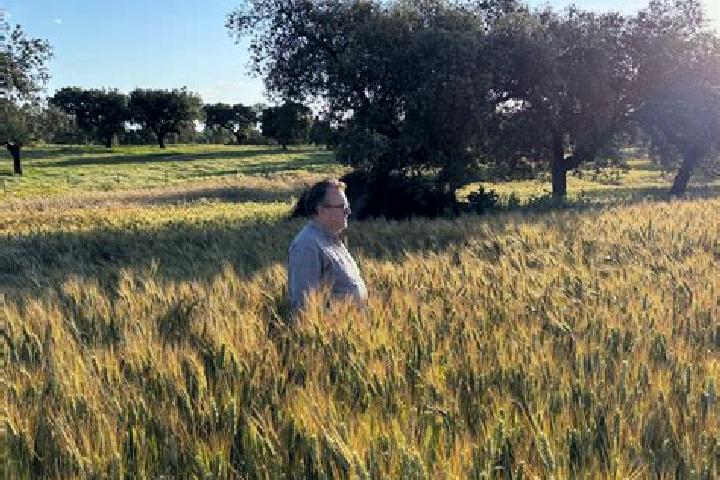 Piper, 30 — Escort in Esparragalejo, Spain