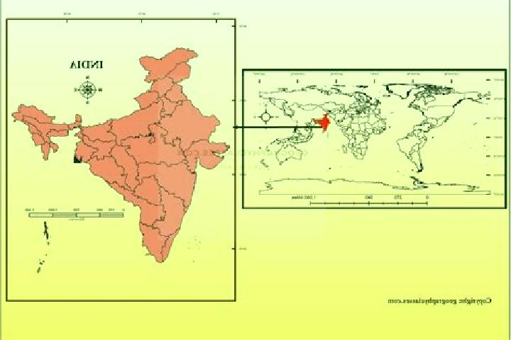 Piper, 30 — Escort in Settur, India