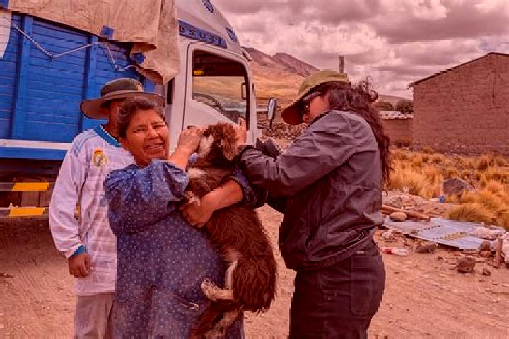 Piper, 30 — Escort in Tarucani, Peru