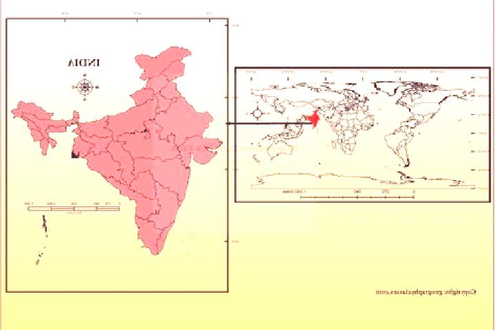 Piper, 30 — Escort in Uttukuli, India