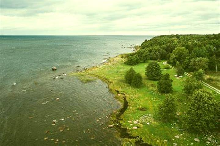 Piper, 30 — Escort in Vaida, Estonia
