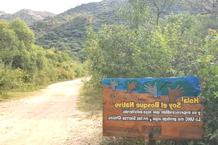 Piper, 30 — Escort in Valle de Vaquerias, Mexico
