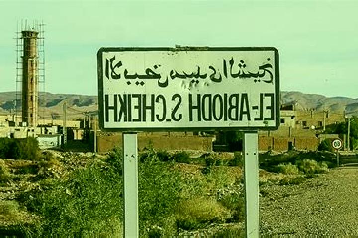 Piper, 31 — Escort in El Abiodh Sidi Cheikh, Algeria