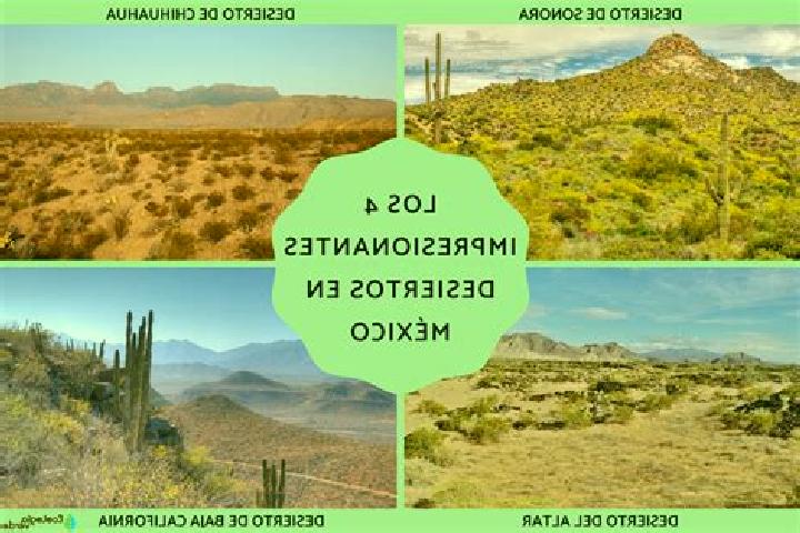 Piper, 31 — Escort in El Desierto, Mexico