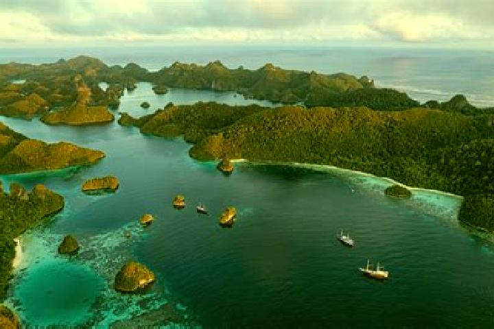 Piper, 31 — Escort in Krajan Ledokombo, Indonesia